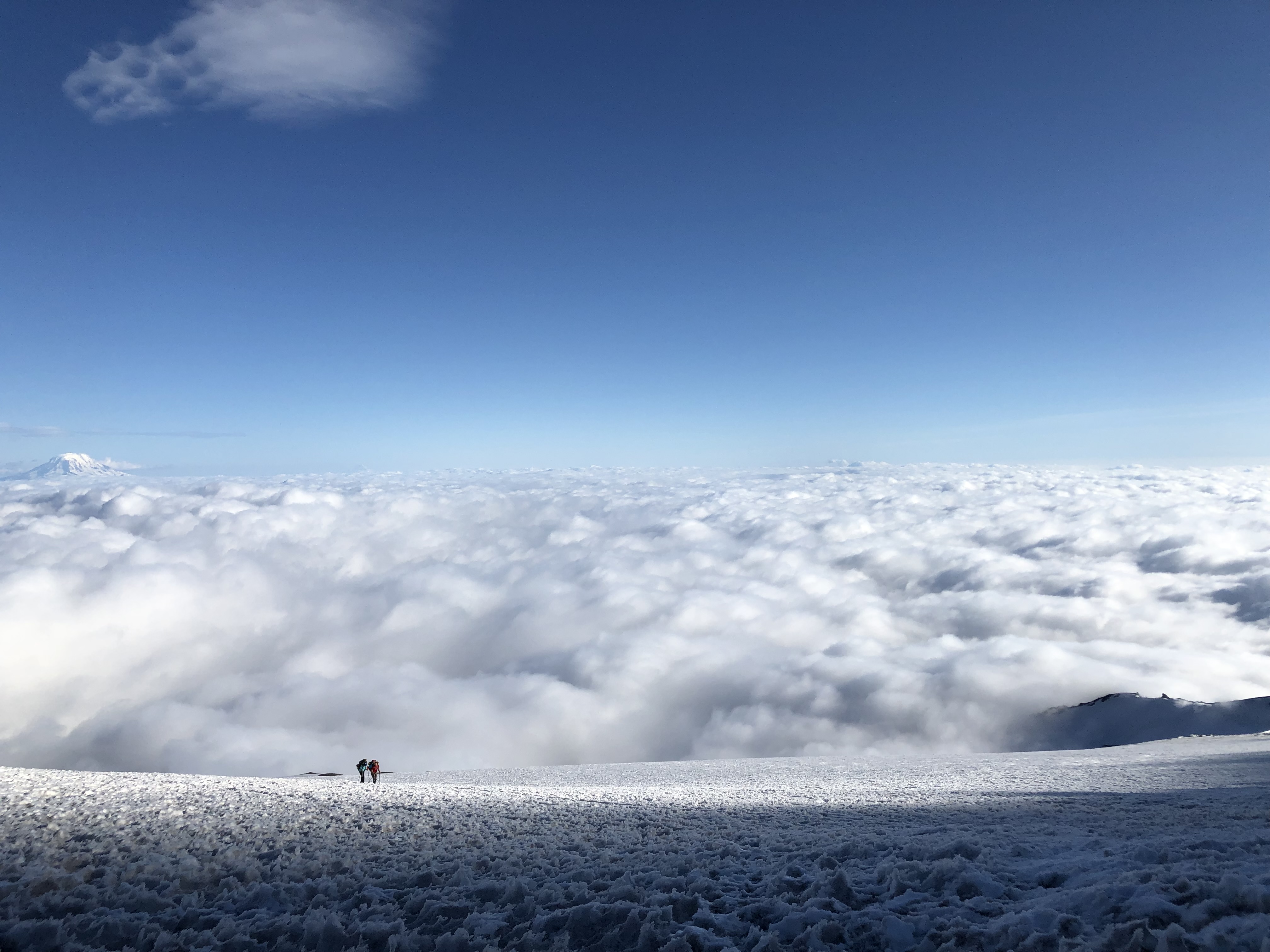 Climbers approaching Camp Muir on Mt Rainier.
