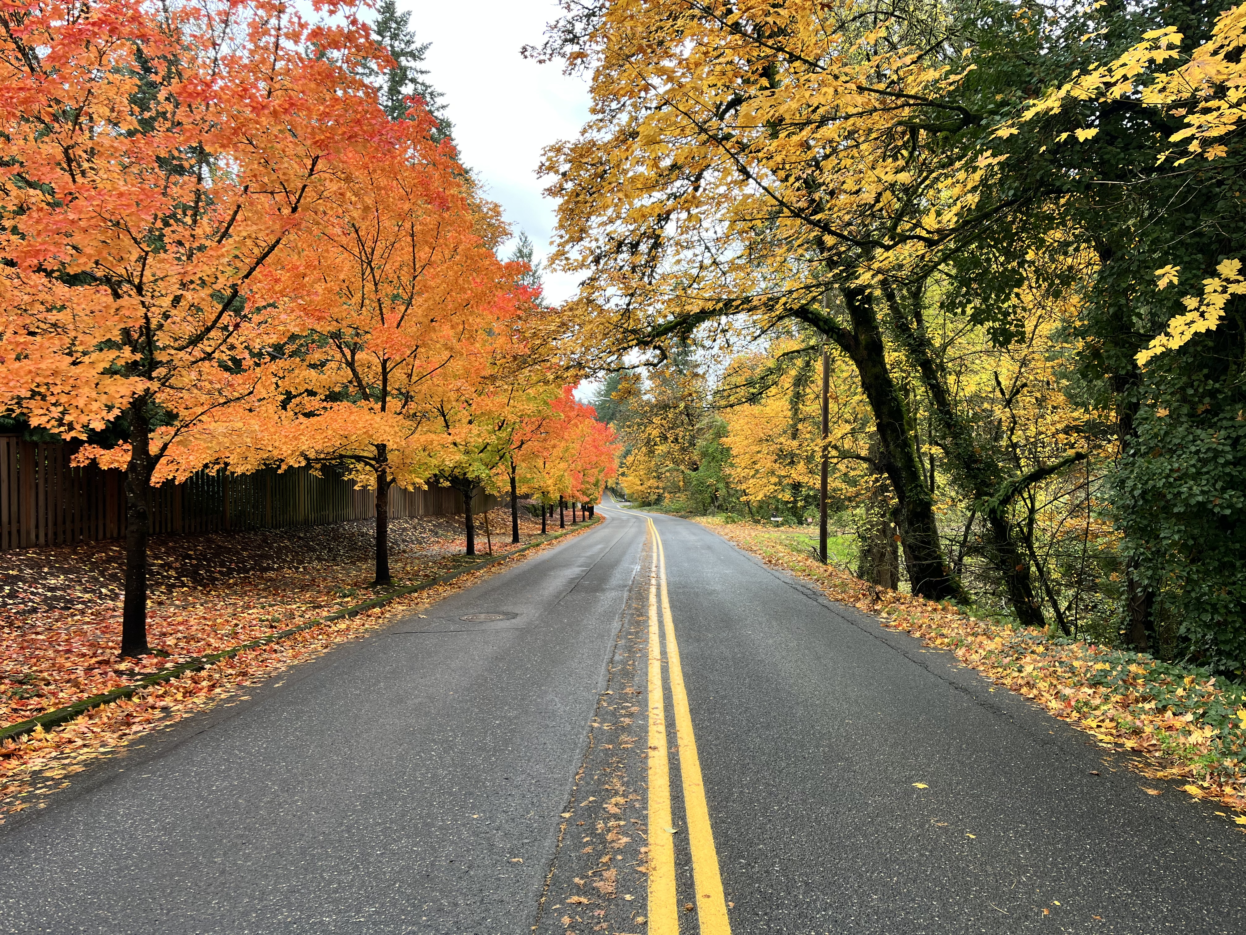 Boones Ferry on a fall day